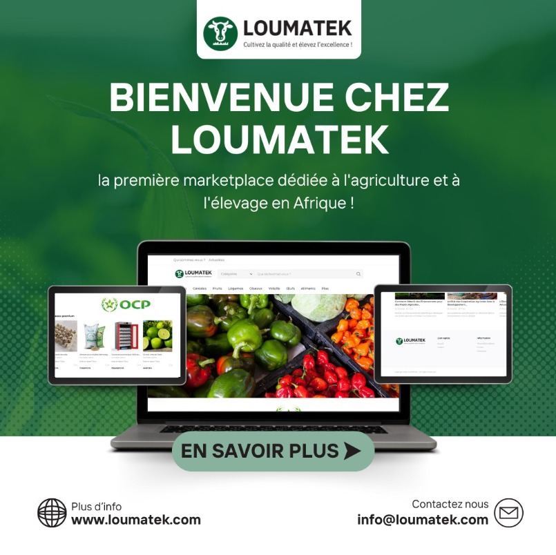 Bienvenue chez LOUMATEK